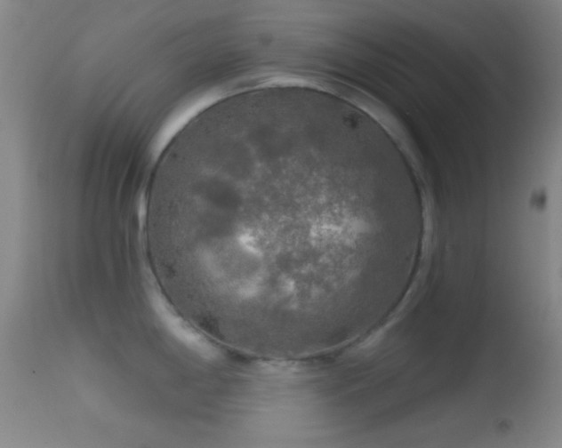 X0000114651198200910201501