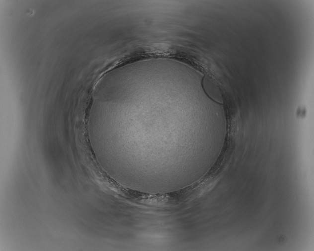 X0000114651201200910201501