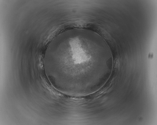 X0000114651202200910201501