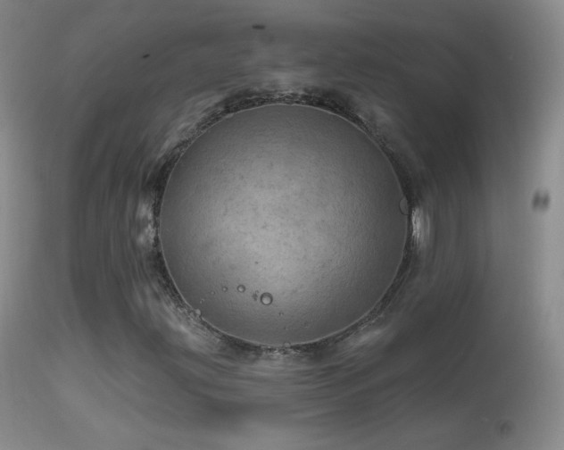 X0000114651203200910201501
