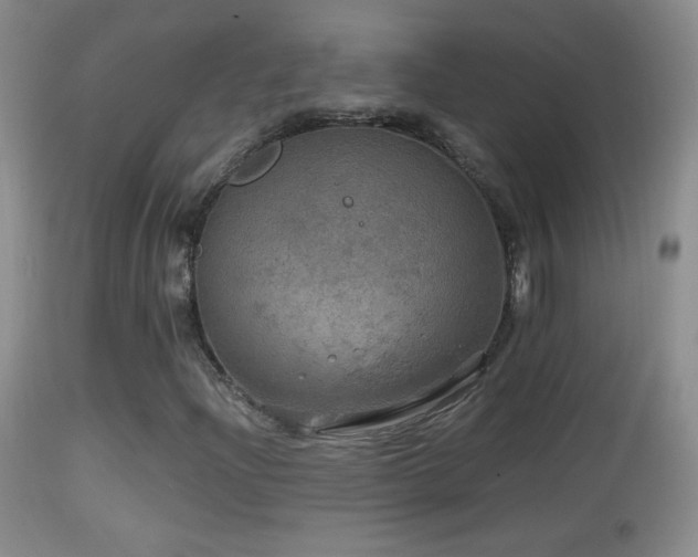 X0000114651204200910201501