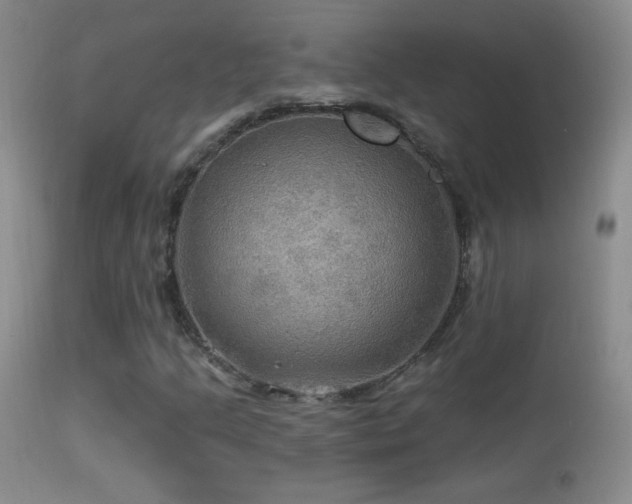 X0000114651205200910201501