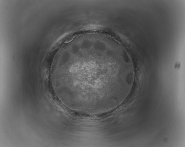 X0000114651206200910201501