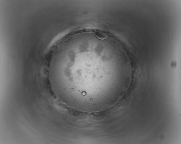 X0000114651207200910201501
