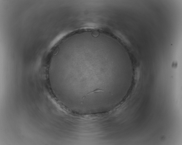 X0000114651208200910201501