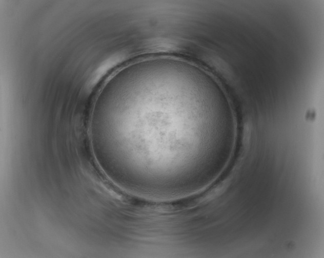X0000114651210200910201501
