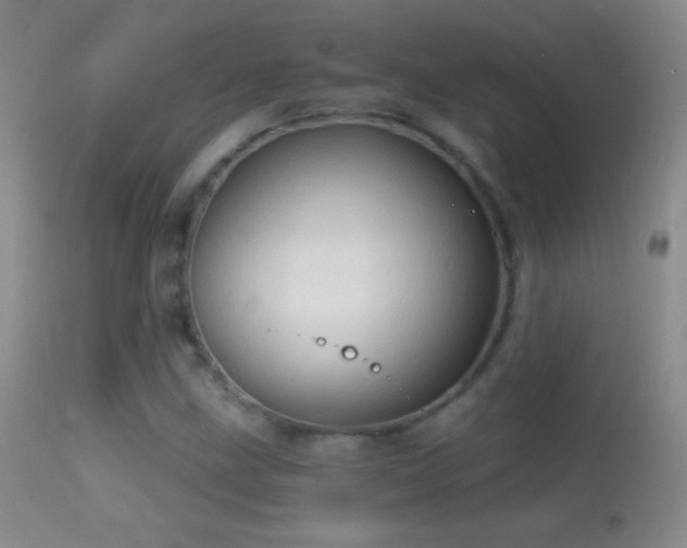 X0000114651211200910201501