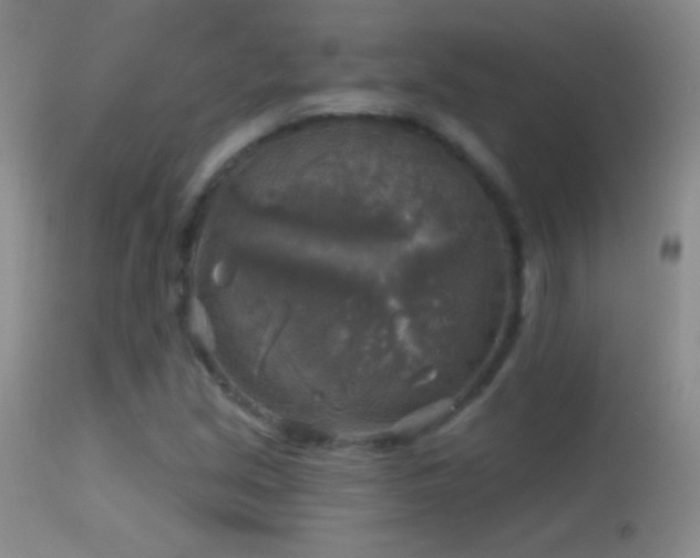 X0000114651213200910201501