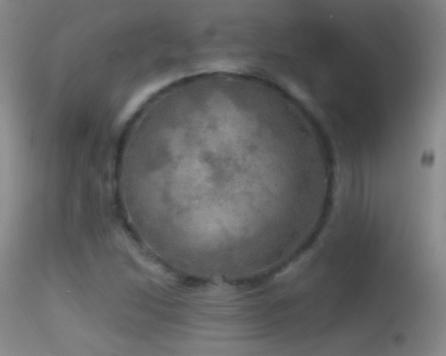 X0000114651214200910201501