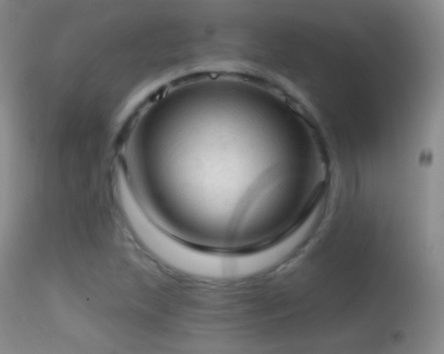 X0000114651215200910201501