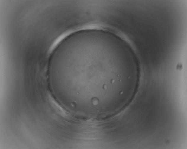 X0000114651216200910201501