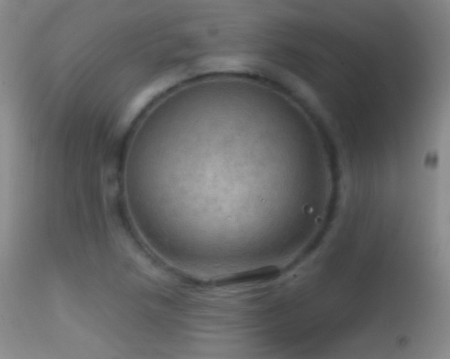 X0000114651218200910201501