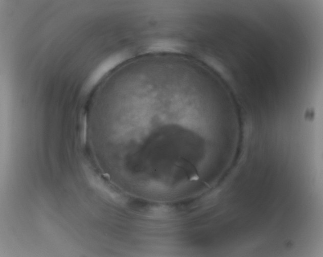 X0000114651219200910201501