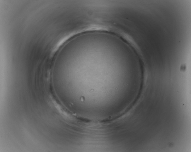 X0000114651220200910201501