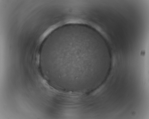 X0000114651221200910201501