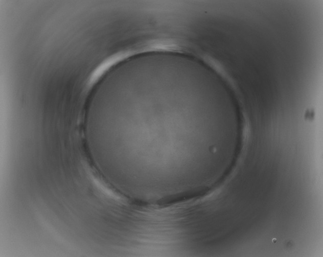 X0000114651222200910201501