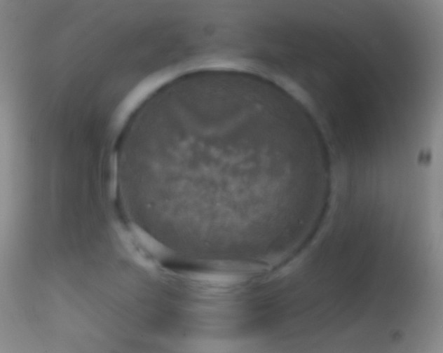 X0000114651223200910201501