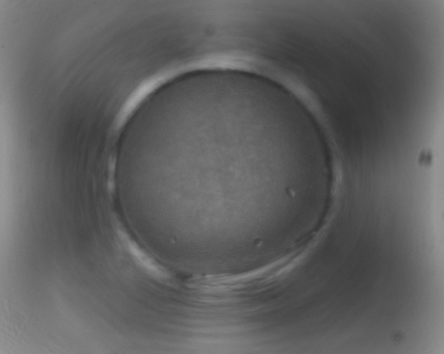 X0000114651224200910201501
