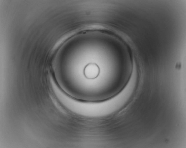 X0000114651225200910201501