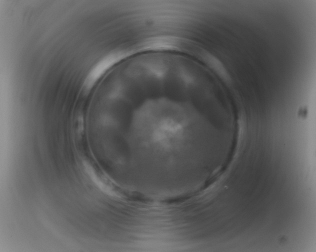 X0000114651226200910201501