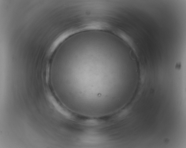 X0000114651227200910201501