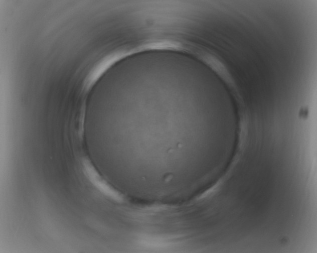 X0000114651228200910201501