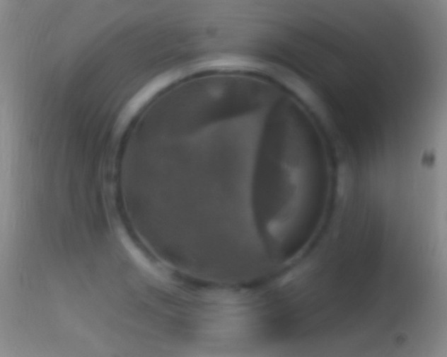 X0000114651229200910201501