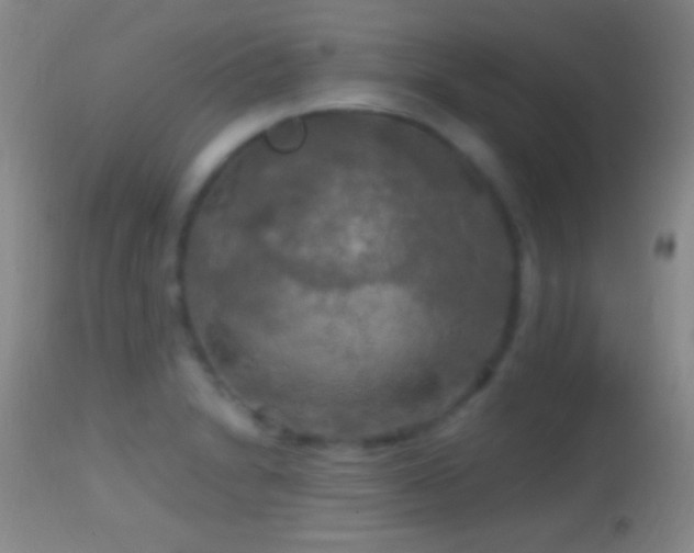 X0000114651230200910201501