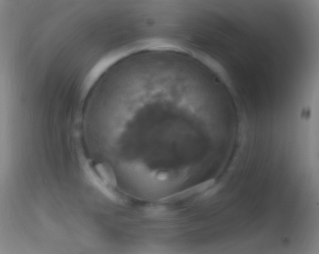 X0000114651231200910201501