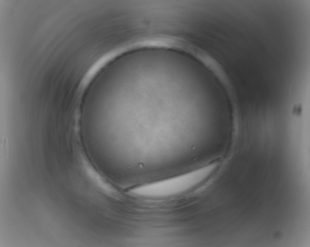 X0000114651232200910201501