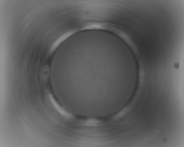X0000114651233200910201501