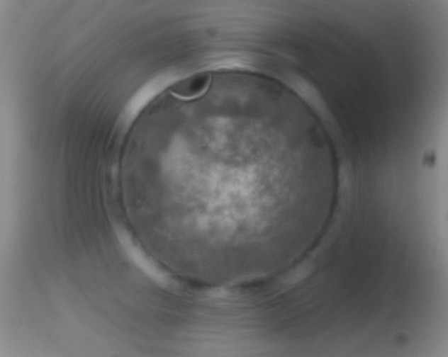 X0000114651234200910201501
