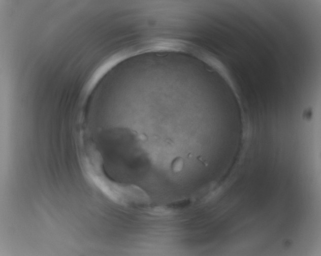 X0000114651235200910201501