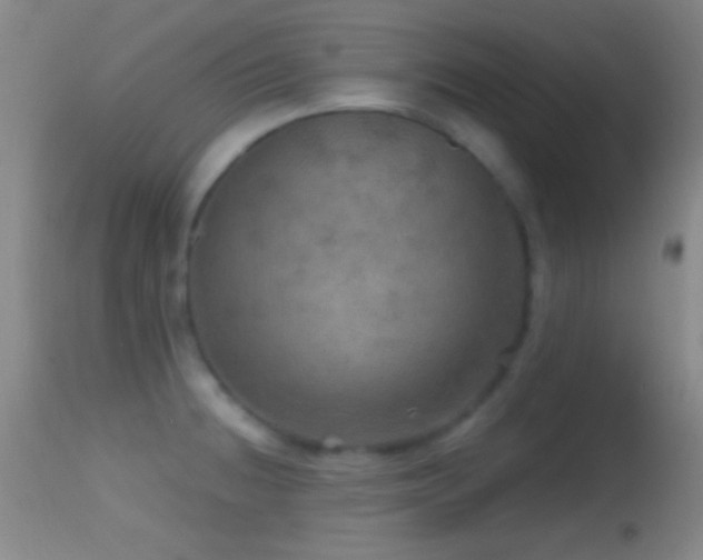 X0000114651236200910201501