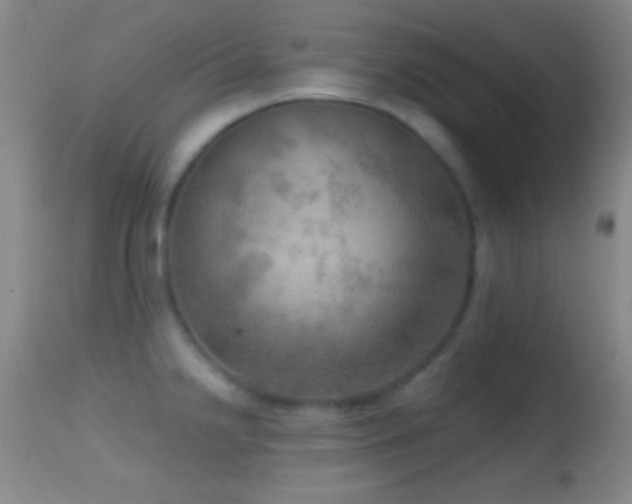 X0000114651238200910201501