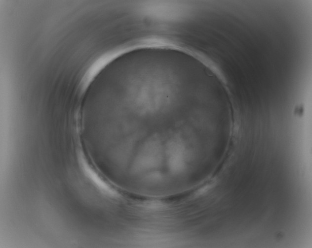 X0000114651239200910201501