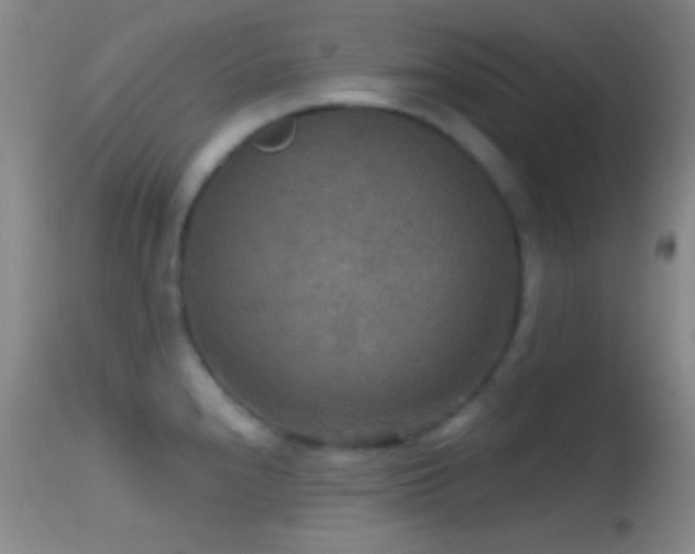 X0000114651240200910201501