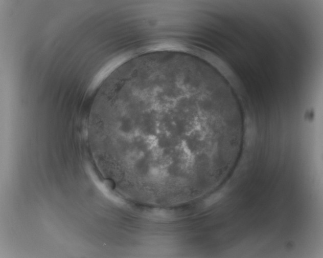 X0000114651241200910201501