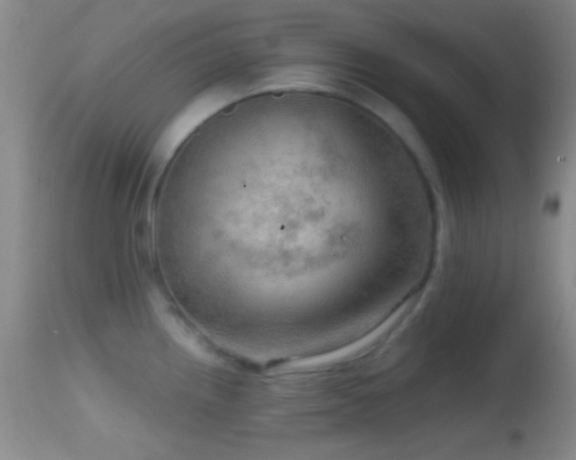 X0000114651242200910201501