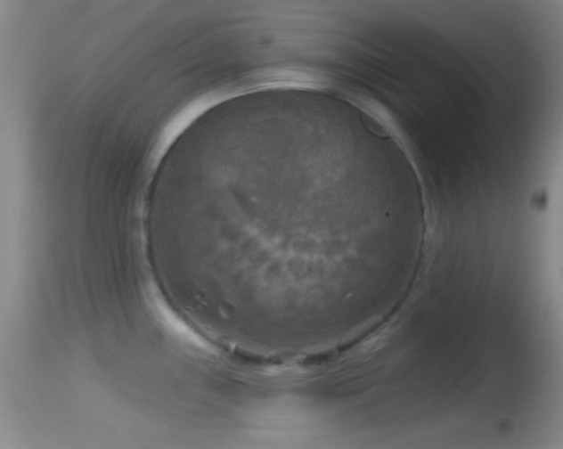 X0000114651243200910201501