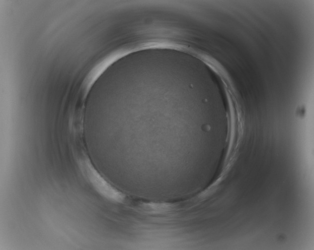 X0000114651244200910201501