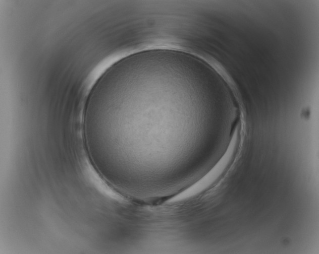 X0000114651246200910201501