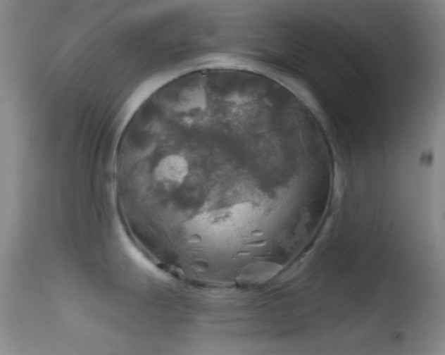 X0000114651247200910201501
