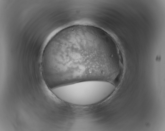 X0000114651248200910201501