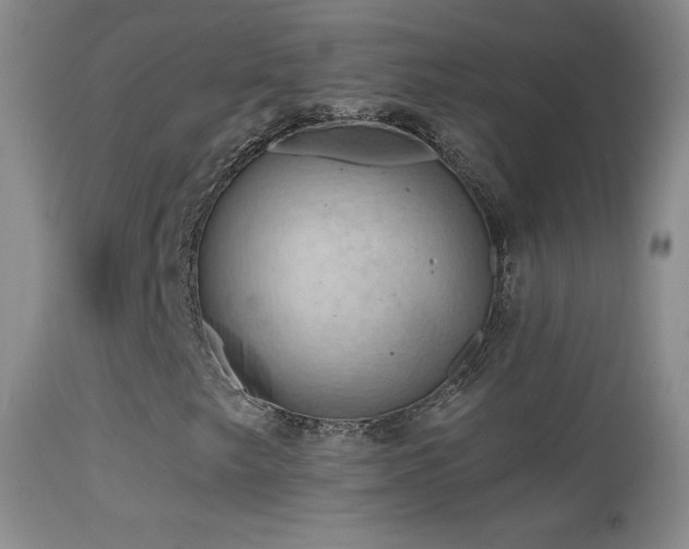 X0000114651249200910201501