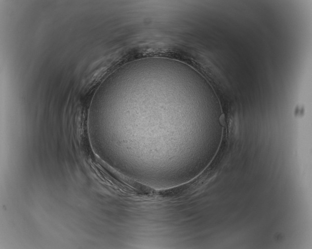 X0000114651250200910201500