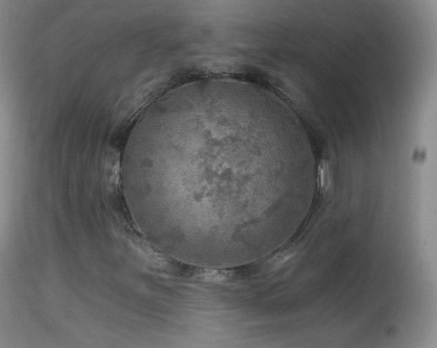 X0000114651251200910201500