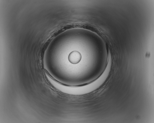 X0000114651252200910201500