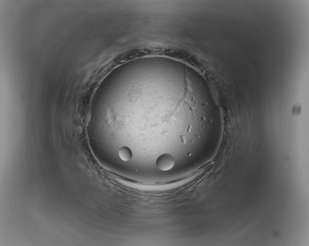 X0000114651253200910201500