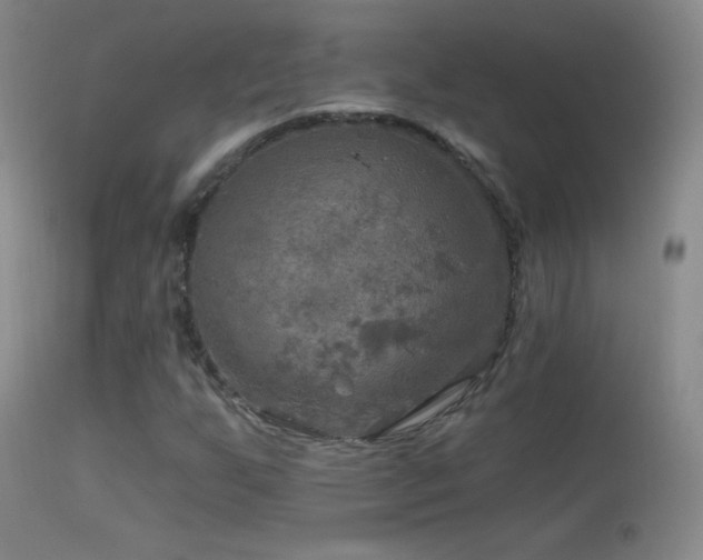 X0000114651255200910201500